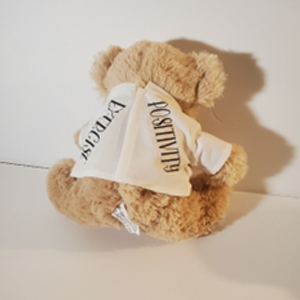 PLUSH TEDDY BEAR PHYSICAL THERAPY (PT)
