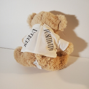 PLUSH TEDDY BEAR OCCUPATIONAL THERAPY (OT)